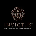 ПВХ плитка Invictus в Чебоксарах