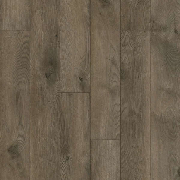 Ламинат Classen Legend WR 4V Дуб Данди 54781 33 кл/8мм в Чебоксарах