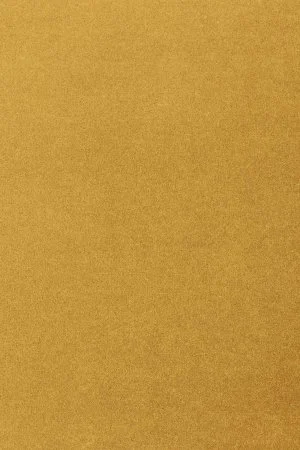 Ковровое покрытие AW Oinone 54 - (5м) в Чебоксарах