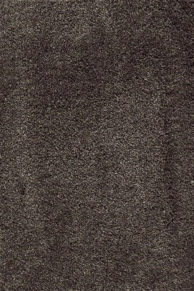 Ковровое покрытие AW Fedone 44 - (5м) в Чебоксарах