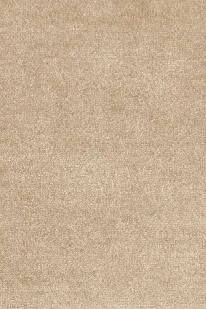 Ковровое покрытие AW Omphale 37 - (4м) в Чебоксарах