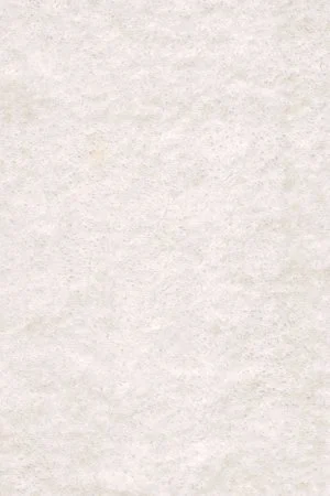 Ковровое покрытие AW Euphoria 03 - (5м) в Чебоксарах