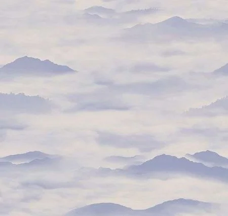 Обои Loymina Clair CLR4, 006 в Чебоксарах