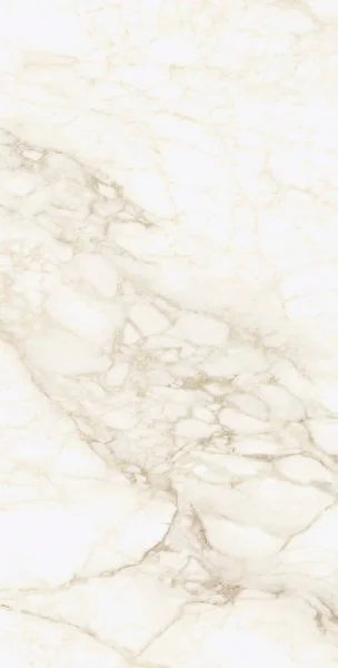 Керамогранит Coliseum Микеланджело Ворм 60х120 (Натуральный и Реттифицированный) в Чебоксарах