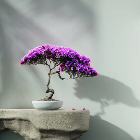 Обои Loymina Lotus LOT1 112 в Чебоксарах