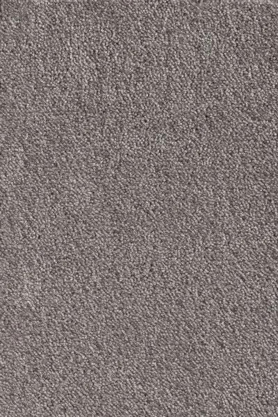 Ковровое покрытие AW Messalina 49 - (5м) в Чебоксарах