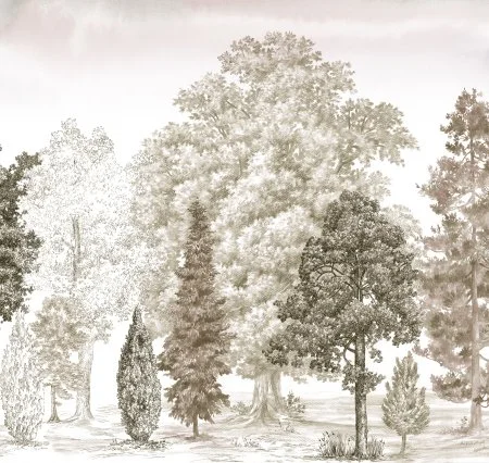 Обои Loymina Пейзаж vol. 2 ART14 012 в Чебоксарах