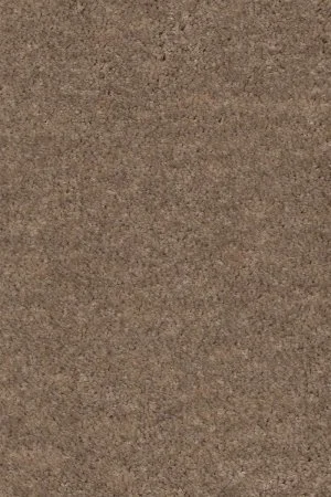 Ковровое покрытие AW Euphoria 36 - (4м) в Чебоксарах