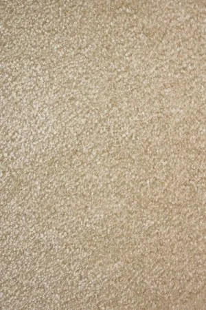 Ковровое покрытие AW Euphoria 33 - (5м) в Чебоксарах