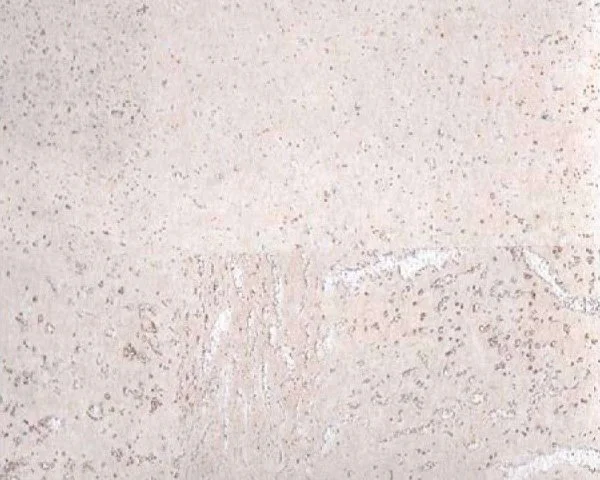 Настенное пробковое покрытие CorkArt PW 386 WS в Чебоксарах