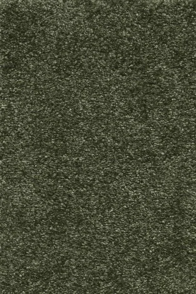 Ковровое покрытие AW Certosa 24 - (4м) в Чебоксарах