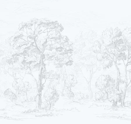 Обои Loymina Etude ETD9, 011 в Чебоксарах