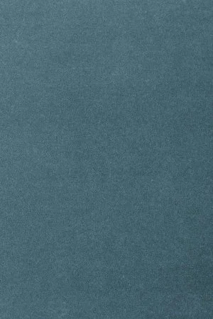 Ковровое покрытие AW Oinone 74 - (4м) в Чебоксарах