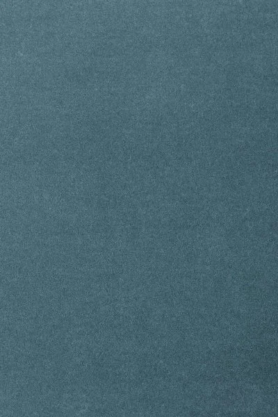 Ковровое покрытие AW Oinone 74 - (5м) в Чебоксарах