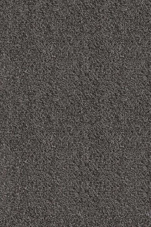 Ковровое покрытие AW Messalina 99 - (5м) в Чебоксарах