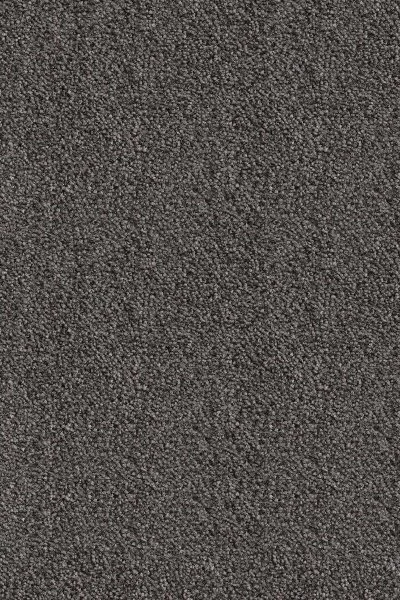 Ковровое покрытие AW Messalina 99 - (5м) в Чебоксарах