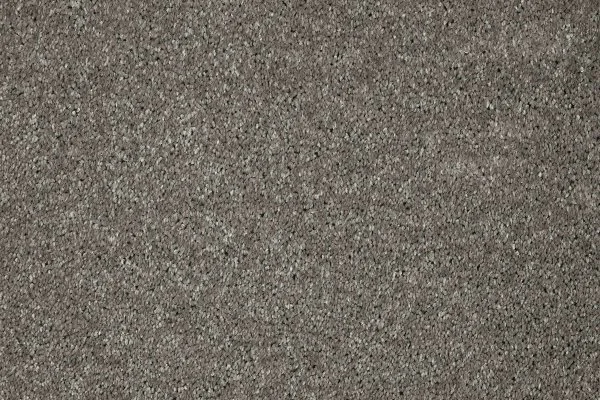 Ковровое покрытие AW Gala 94 - (5м) в Чебоксарах