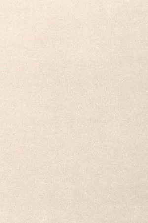 Ковровое покрытие AW Oinone 03 - (4м) в Чебоксарах