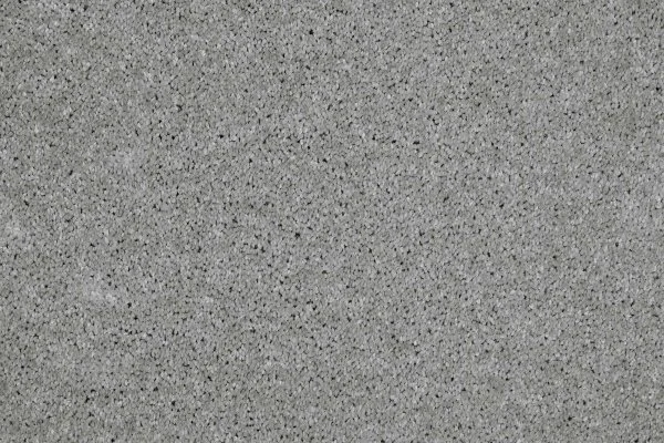 Ковровое покрытие AW Gala 90 - (4м) в Чебоксарах