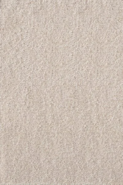 Ковровое покрытие AW Messalina 34 - (5м) в Чебоксарах