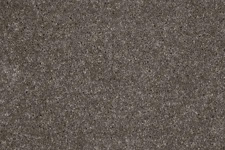 Ковровое покрытие AW Gala 49 - (5м) в Чебоксарах