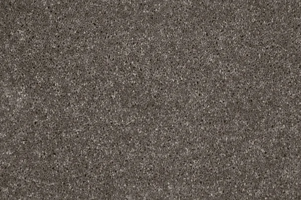 Ковровое покрытие AW Gala 49 - (4м) в Чебоксарах