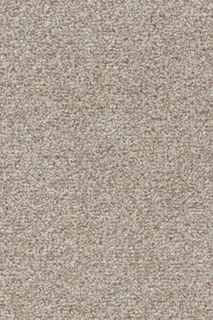 Ковровое покрытие AW Stainguard Harvest 04 - (4м) в Чебоксарах