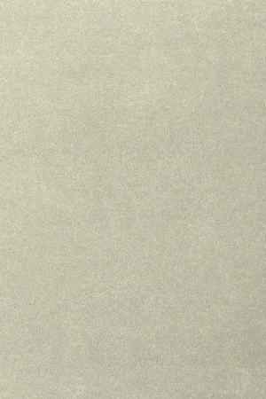 Ковровое покрытие AW Oinone 02 - (4м) в Чебоксарах