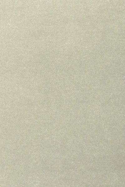 Ковровое покрытие AW Oinone 02 - (4м) в Чебоксарах