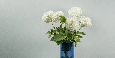 Обои Loymina Shade vol.2 SDR5, 001 в Чебоксарах