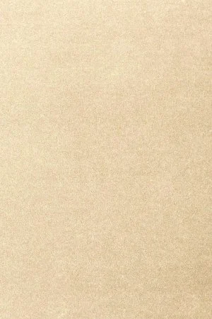 Ковровое покрытие AW Oinone 33 - (4м) в Чебоксарах