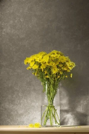 Обои Loymina Golden Library TDG 7, 008 в Чебоксарах