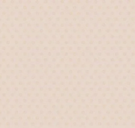 Обои Loymina Golden Library Q11, 002/1 в Чебоксарах