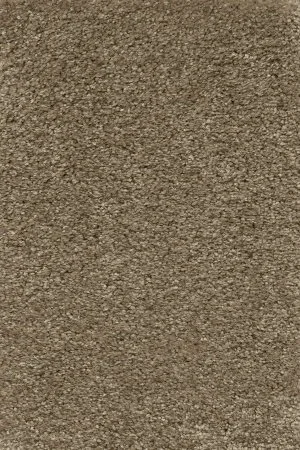 Ковровое покрытие AW Certosa 35 - (5м) в Чебоксарах