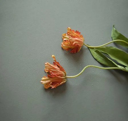 Обои Loymina Russian Classic Ru10, 006 в Чебоксарах