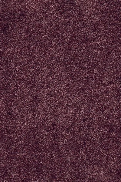 Ковровое покрытие AW Fedone 19 - (5м) в Чебоксарах