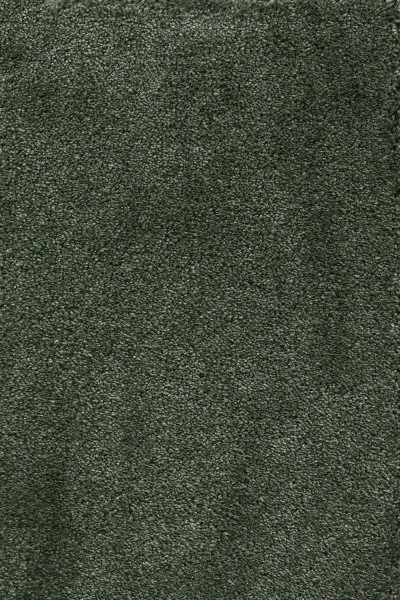 Ковровое покрытие AW Fedone 24 - (5м) в Чебоксарах