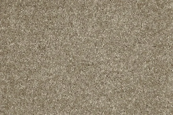 Ковровое покрытие AW Gala 33 - (4м) в Чебоксарах