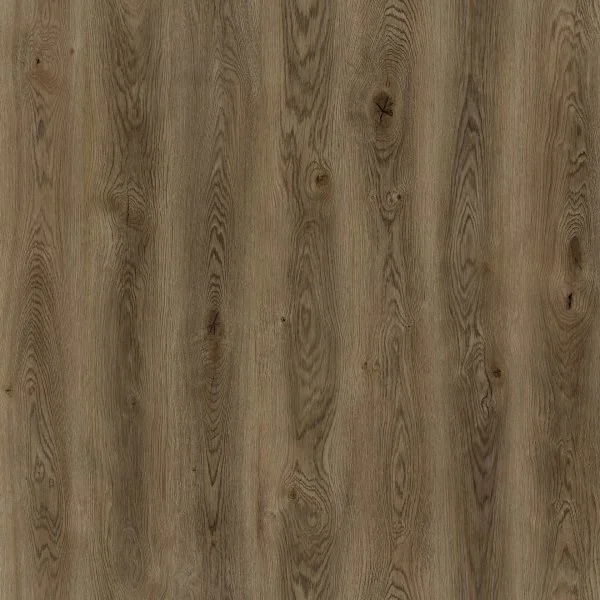 50667 Дуб Федель