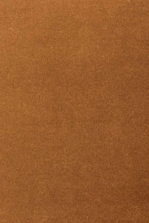 Ковровое покрытие AW Oinone 84 - (5м) в Чебоксарах