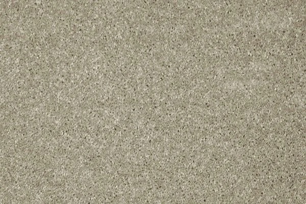 Ковровое покрытие AW Gala 03 - (4м) в Чебоксарах