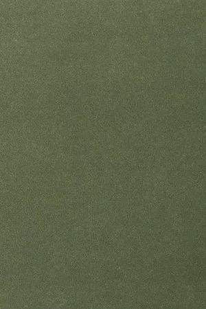 Ковровое покрытие AW Oinone 24 - (5м) в Чебоксарах