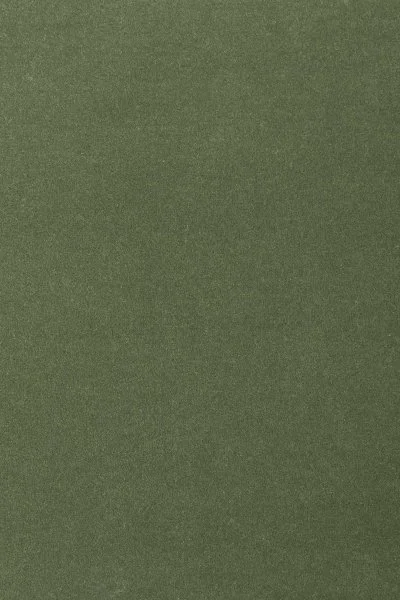 Ковровое покрытие AW Oinone 24 - (4м) в Чебоксарах