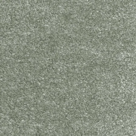 Ковровое покрытие AW Euphoria 28 - (5м) в Чебоксарах