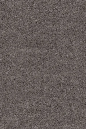 Ковровое покрытие AW Euphoria 45 - (4м) в Чебоксарах