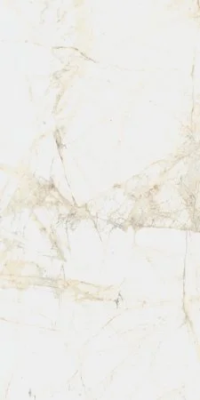 Керамогранит Coliseum Канова Уайт 60х120 (Натуральный и Реттифицированный) в Чебоксарах