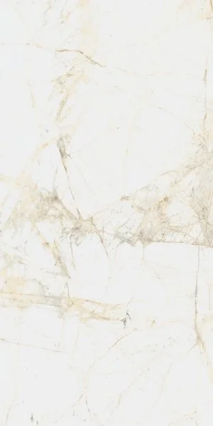 Керамогранит Coliseum Канова Уайт 60х120 (Натуральный и Реттифицированный) в Чебоксарах