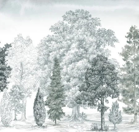 Обои Loymina Пейзаж vol. 2 ART14 011 в Чебоксарах