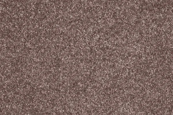 Ковровое покрытие AW Gala 60 - (5м) в Чебоксарах